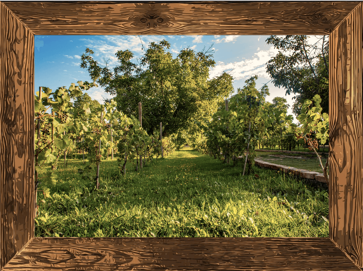 Centro de eventos Bracco